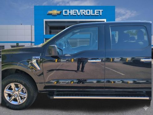 Used 2025 Ford F150 XLT w/ Equipment Group 301A Standard AWD/4WD image 13