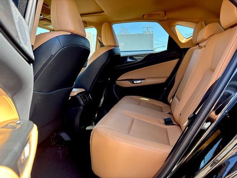Used 2025 Lexus NX 350 350 Premium w/ Cold Area Package image 11
