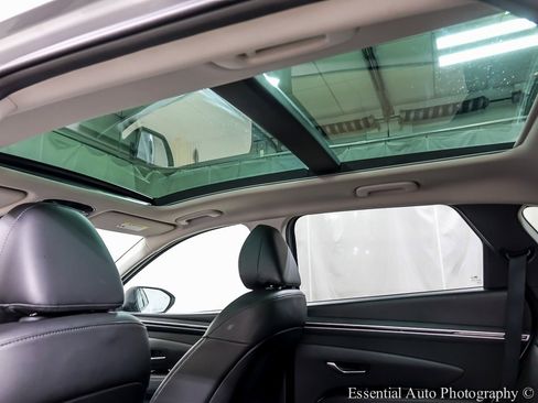 Used 2024 Hyundai Tucson Limited image 12