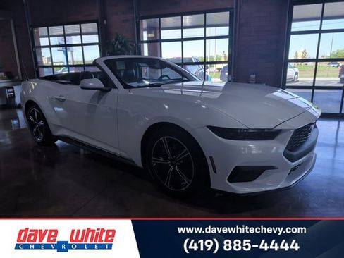Used 2025 Ford Mustang Premium RWD image 1