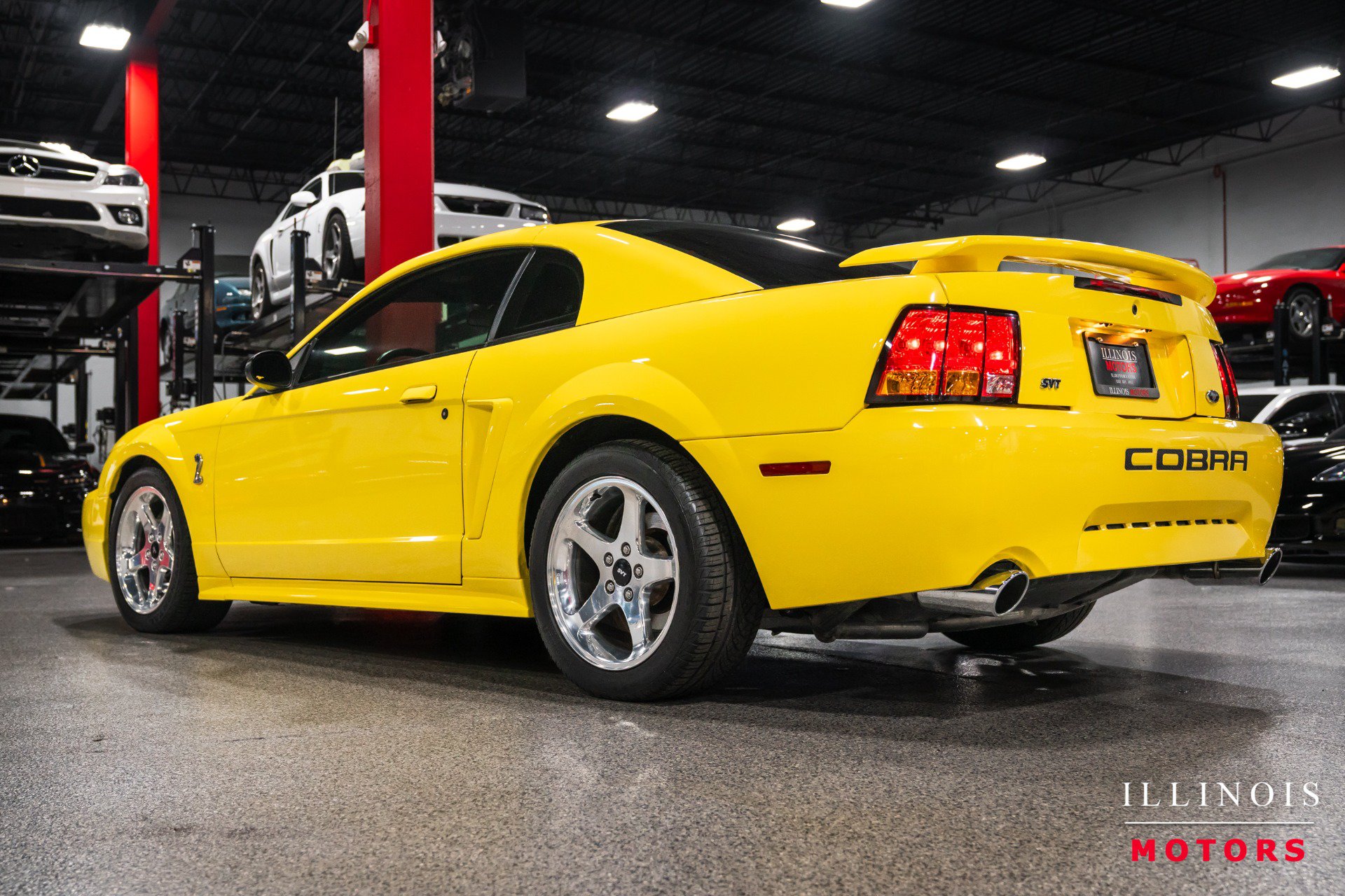 Used 2001 Ford Mustang Cobra RWD image 3