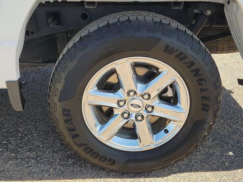 Used 2025 Ford F150 XLT w/ Equipment Group 301A Standard AWD/4WD image 6