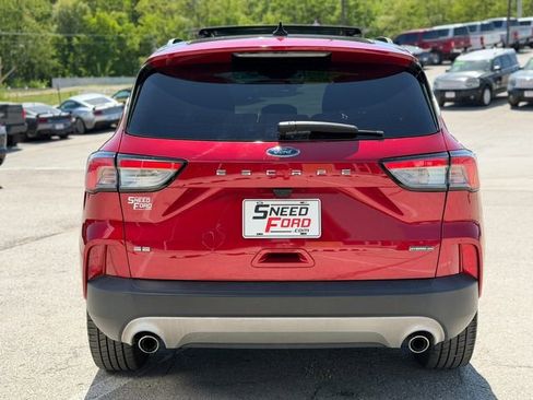 Used 2020 Ford Escape SE Sport AWD/4WD image 6