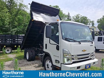 New 2025 Chevrolet Low Cab Forward
