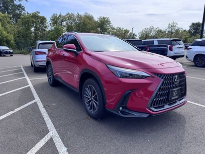 Used 2025 Lexus NX 350 AWD