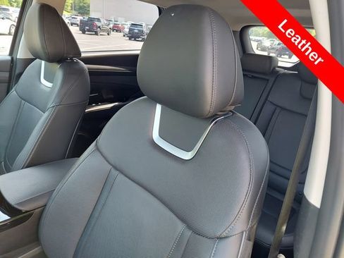 Used 2025 Hyundai Tucson Limited AWD/4WD image 6