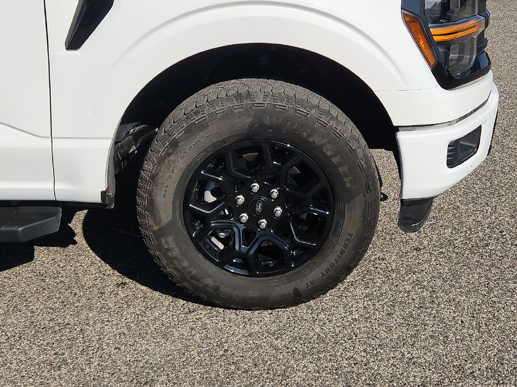 Used 2024 Ford F150 XLT w/ Equipment Group 302A MID AWD/4WD image 8