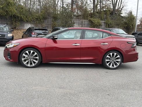 Used 2023 Nissan Maxima Platinum w/ Sport Mat Group image 6
