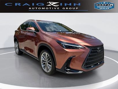 Used 2025 Lexus NX 350 AWD w/ Cold Area Package