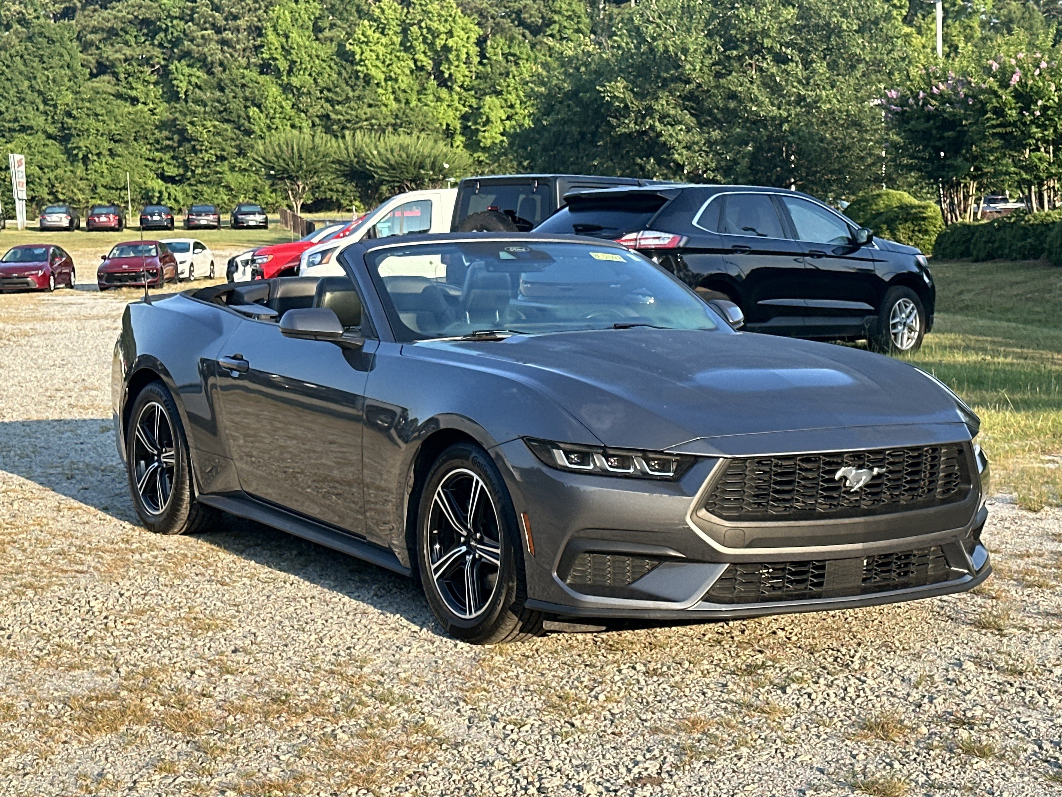 Used 2025 Ford Mustang Premium RWD image 3