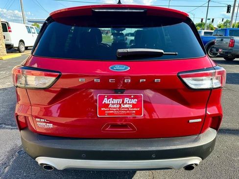 Used 2020 Ford Escape SEL FWD image 6