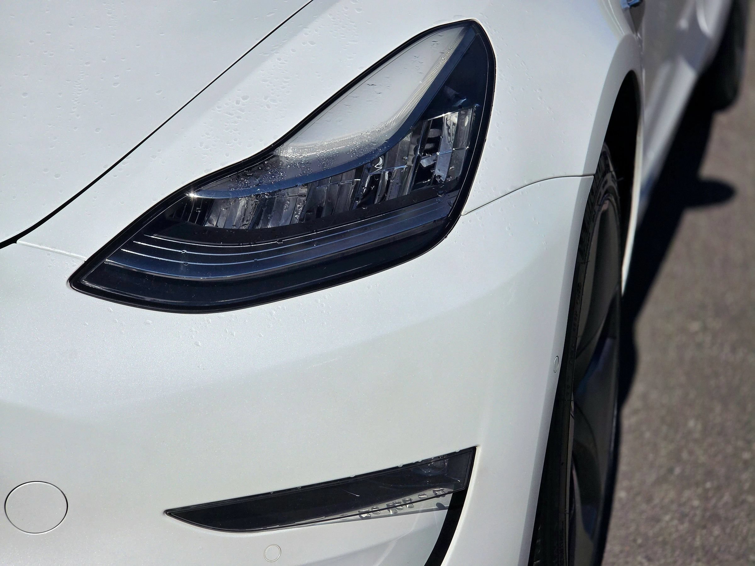 Used 2019 Tesla Model 3 Long Range AWD/4WD image 4