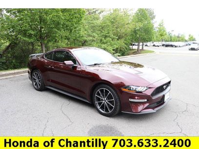 Used 2018 Ford Mustang Premium w/ Equipment Group 201A