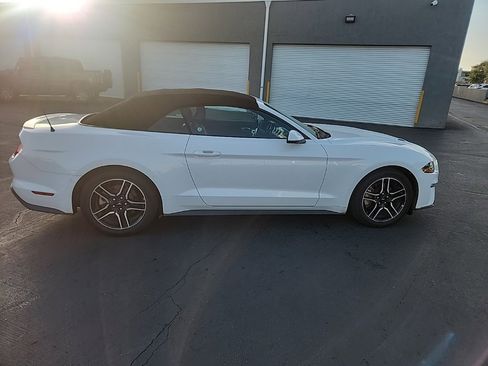 Used 2019 Ford Mustang Premium image 6