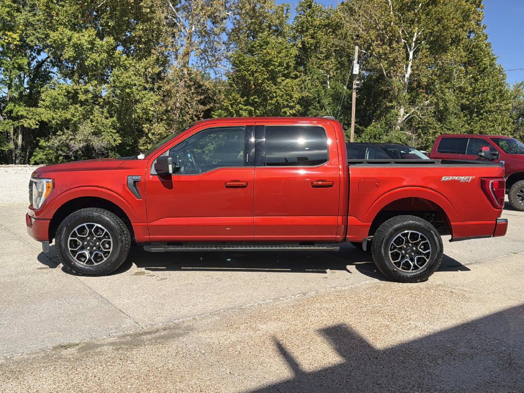 Used 2023 Ford F150 XLT w/ Equipment Group 302A High AWD/4WD image 8