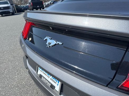 Used 2021 Ford Mustang Premium image 7