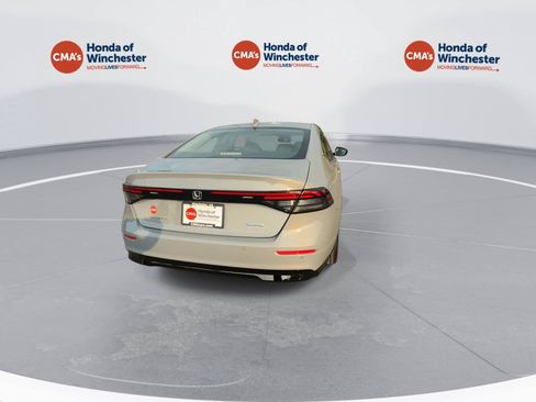 Used 2026 Honda Accord EX-L image 7