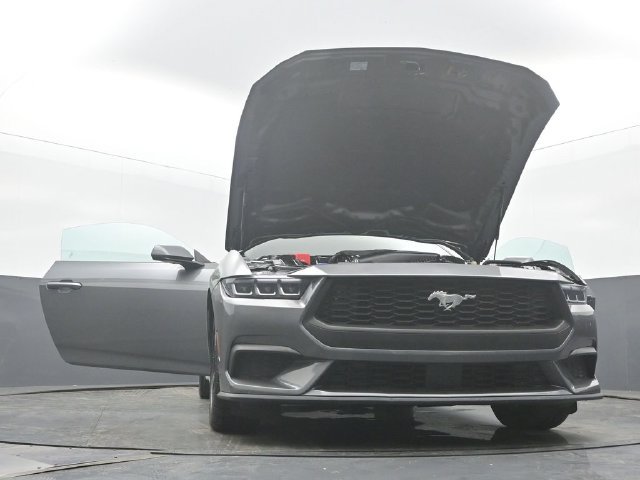 Used 2024 Ford Mustang Premium RWD image 52