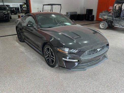 Used 2020 Ford Mustang Coupe w/ Equipment Group 101A image 2