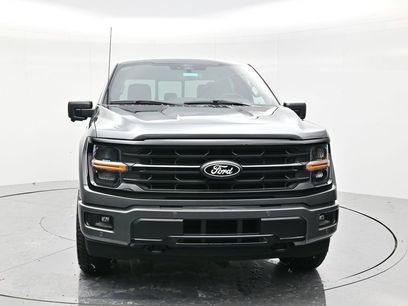 New 2025 Ford F150 XLT w/ Equipment Group 302A MID