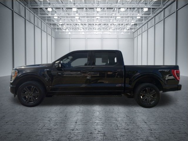 Used 2021 Ford F150 XLT w/ Equipment Group 301A Mid AWD/4WD image 7