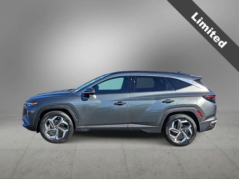 Used 2023 Hyundai Tucson Limited w/ Cargo Package FWD image 5