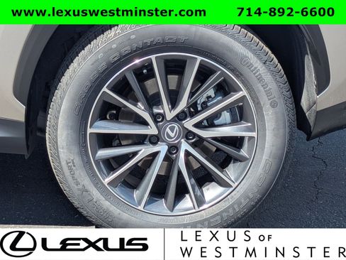 Certified 2024 Lexus NX 250 FWD image 13