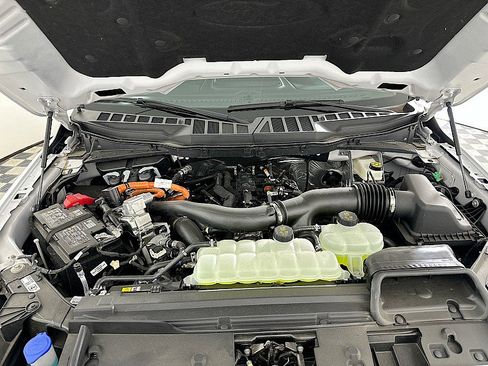 New 2025 Ford F150 XLT w/ Equipment Group 303A High image 18