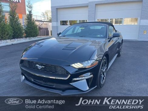 Certified 2023 Ford Mustang Premium image 1