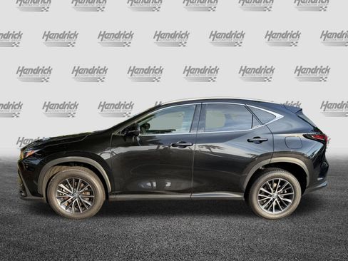 Used 2024 Lexus NX 350 AWD image 6