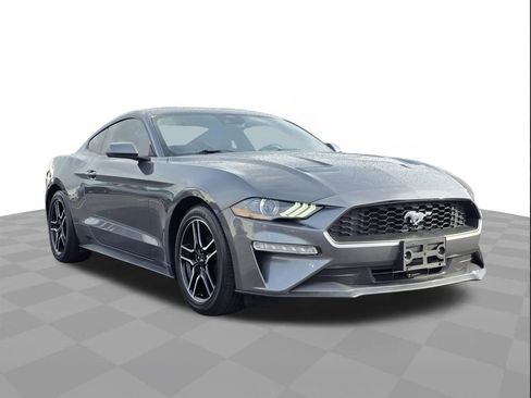 Used 2023 Ford Mustang Coupe w/ Equipment Group 101A image 3