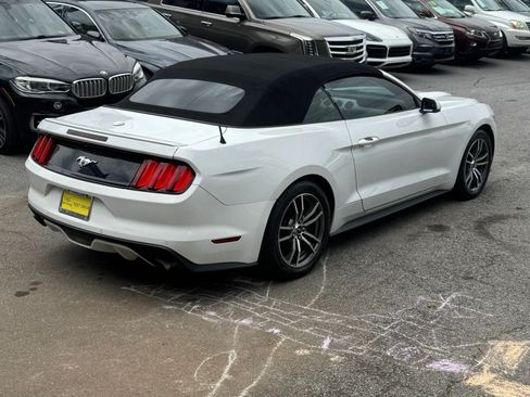 Used 2017 Ford Mustang Premium RWD image 4