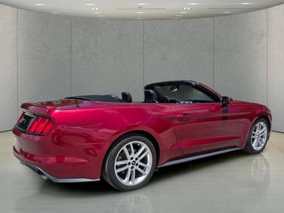 Used 2016 Ford Mustang Premium w/ Pony Package