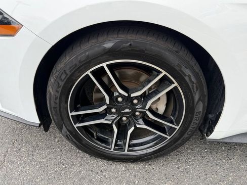 Used 2019 Ford Mustang Coupe w/ Equipment Group 101A RWD image 13