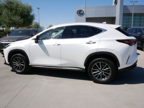 Certified 2025 Lexus NX 350h AWD w/ Cold Area Package image 5