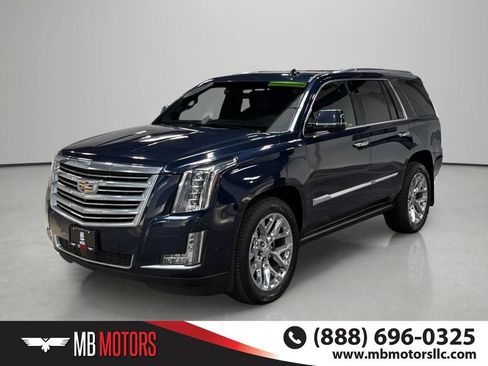 Used 2017 Cadillac Escalade Platinum AWD/4WD image 1