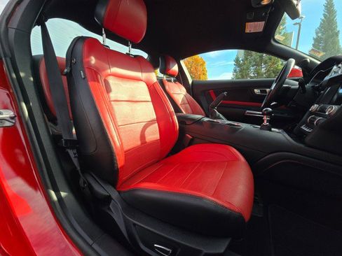 Used 2019 Ford Mustang Premium w/ Equipment Group 201A image 11