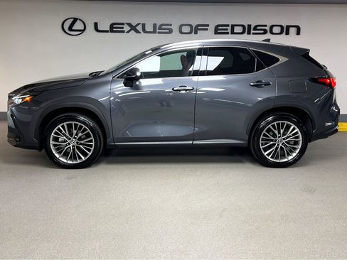 Used 2025 Lexus NX 350 AWD w/ Premium Package image 4