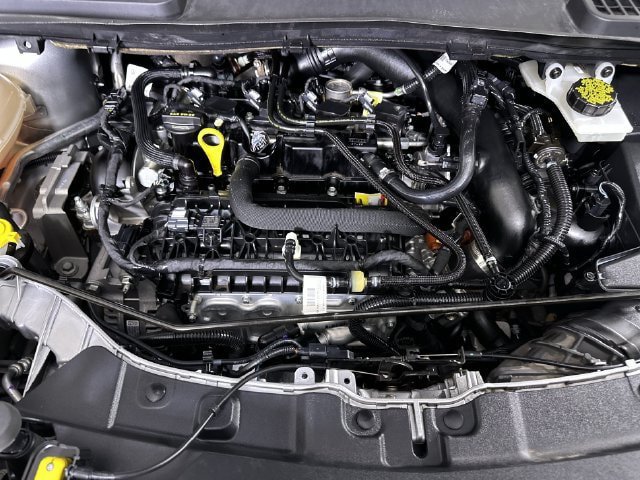 Used 2019 Ford Escape SE FWD image 31