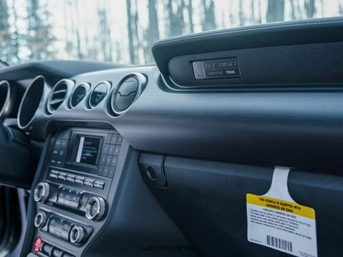 Used 2015 Ford Mustang Shelby GT350 image 38