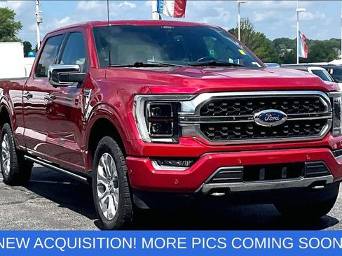 Used 2021 Ford F150 Platinum w/ Equipment Group 701A High AWD/4WD image 1
