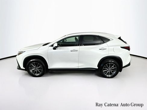 Certified 2024 Lexus NX 250 AWD w/ Cold Area Package image 4