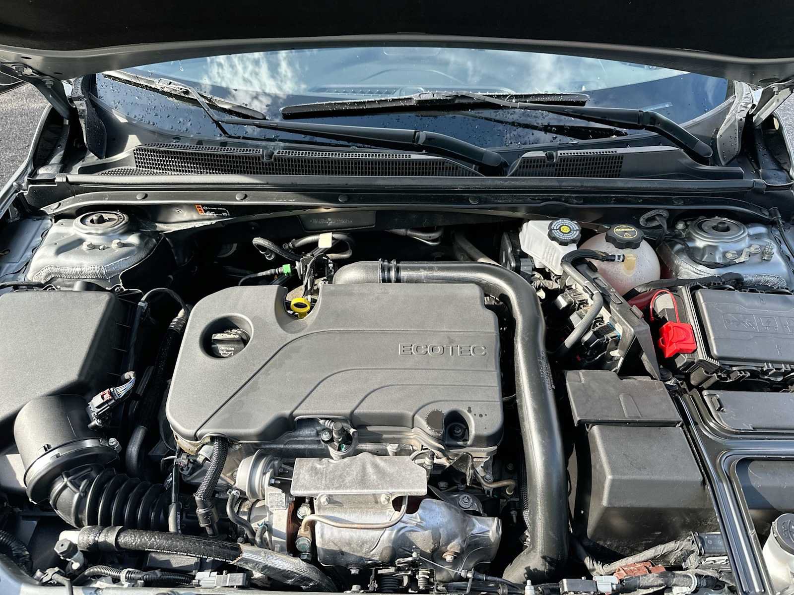 Certified 2025 Chevrolet Malibu LT FWD image 13