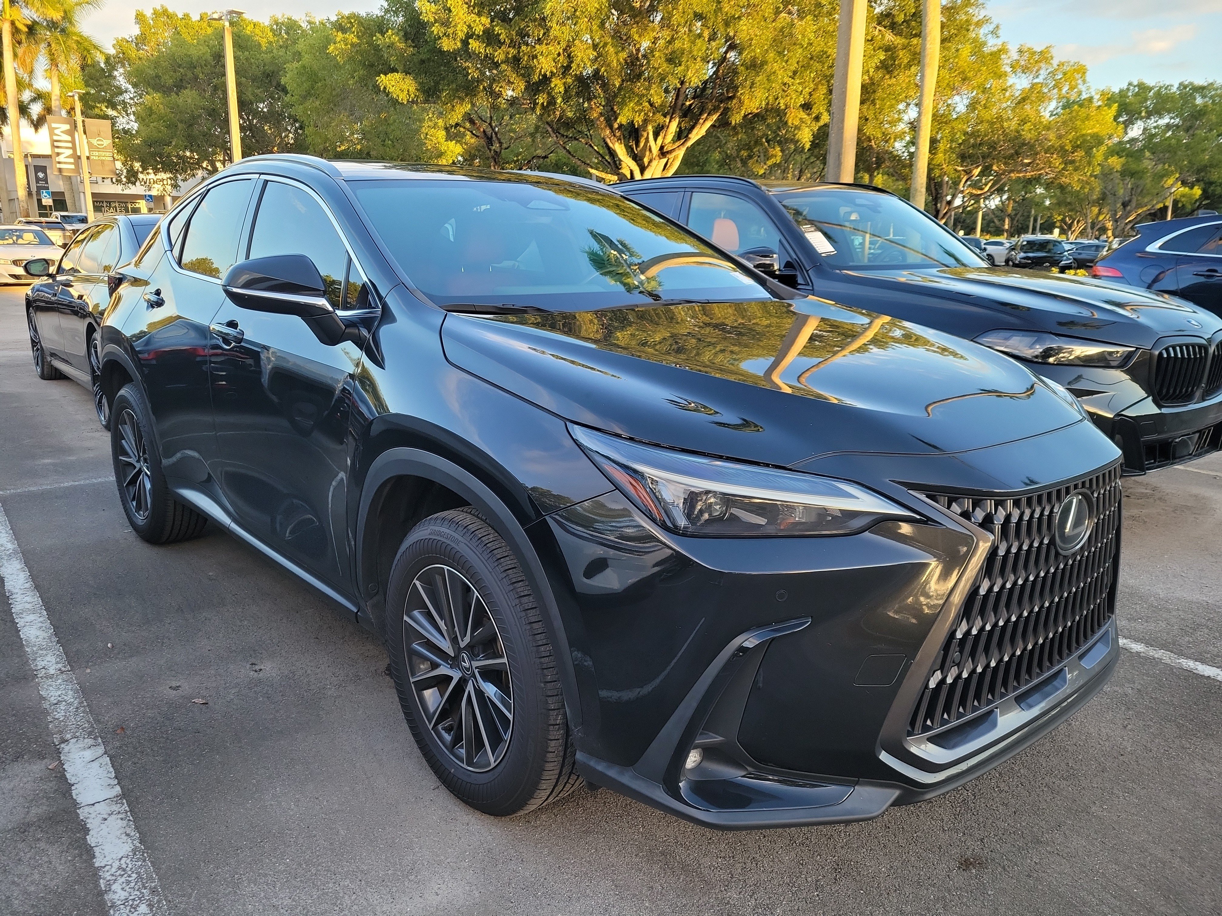 Used 2025 Lexus NX 250 FWD w/ Cold Area Package image 5