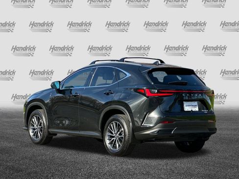 Used 2025 Lexus NX 350h AWD w/ Premium Package image 7