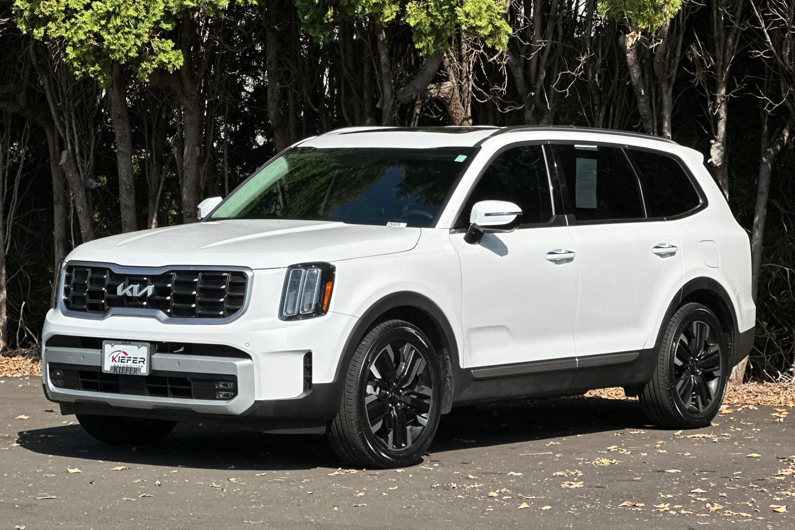 Certified 2025 Kia Telluride SX Prestige AWD/4WD image 8