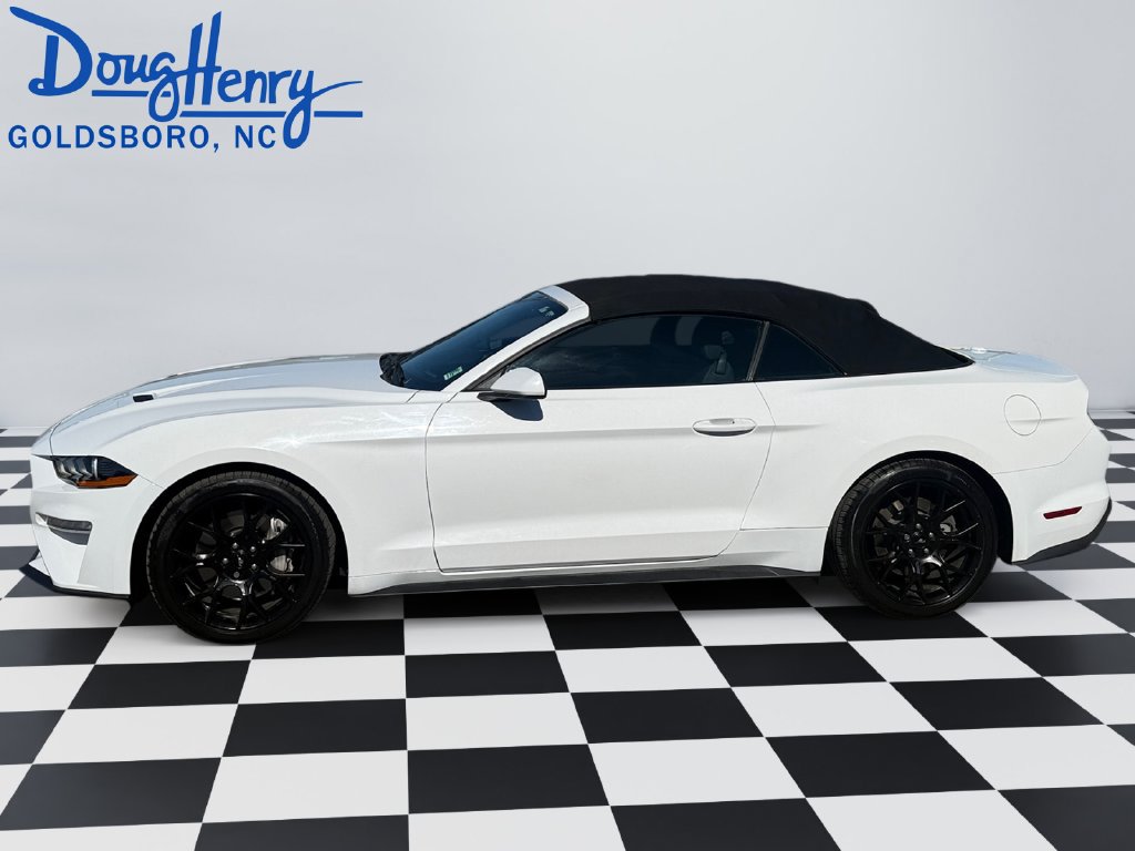 Used 2019 Ford Mustang Convertible w/ Ecoboost Performance Package RWD image 2