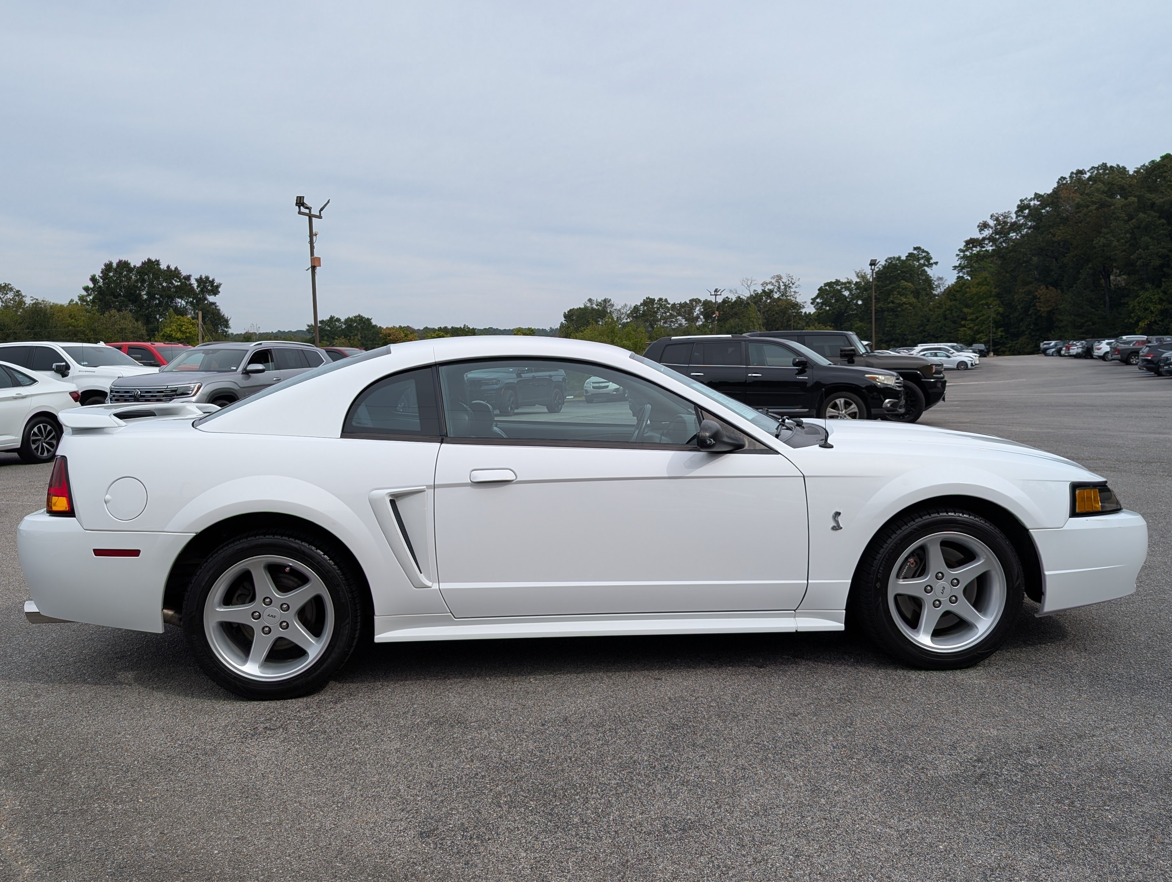 Used 2001 Ford Mustang Cobra RWD image 9
