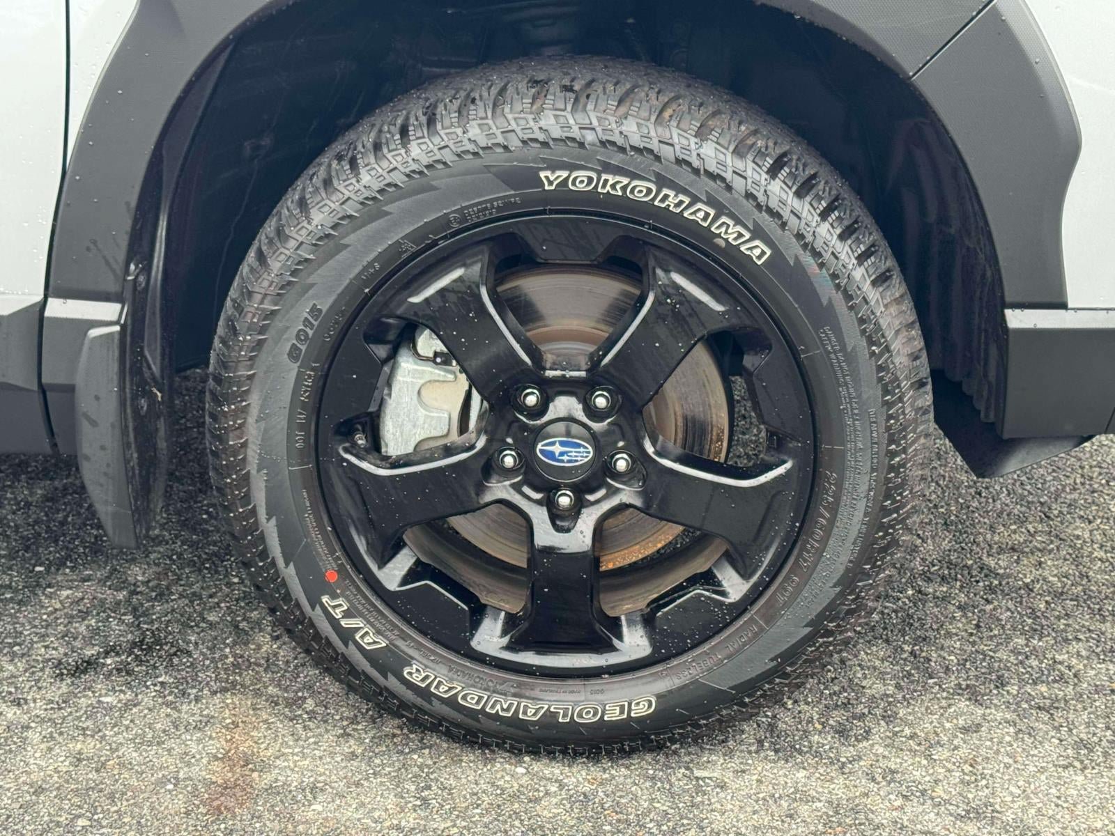 Certified 2025 Subaru Forester Wilderness AWD/4WD image 6