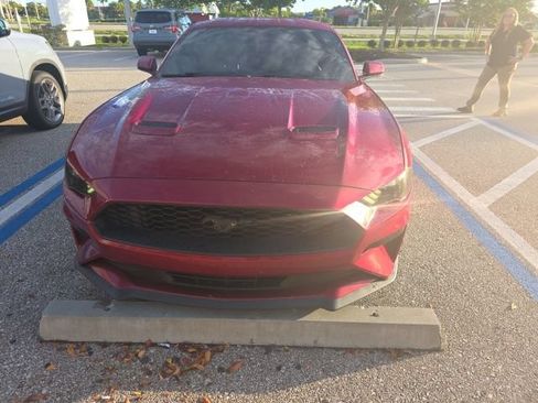 Used 2019 Ford Mustang Coupe w/ Equipment Group 101A RWD image 14